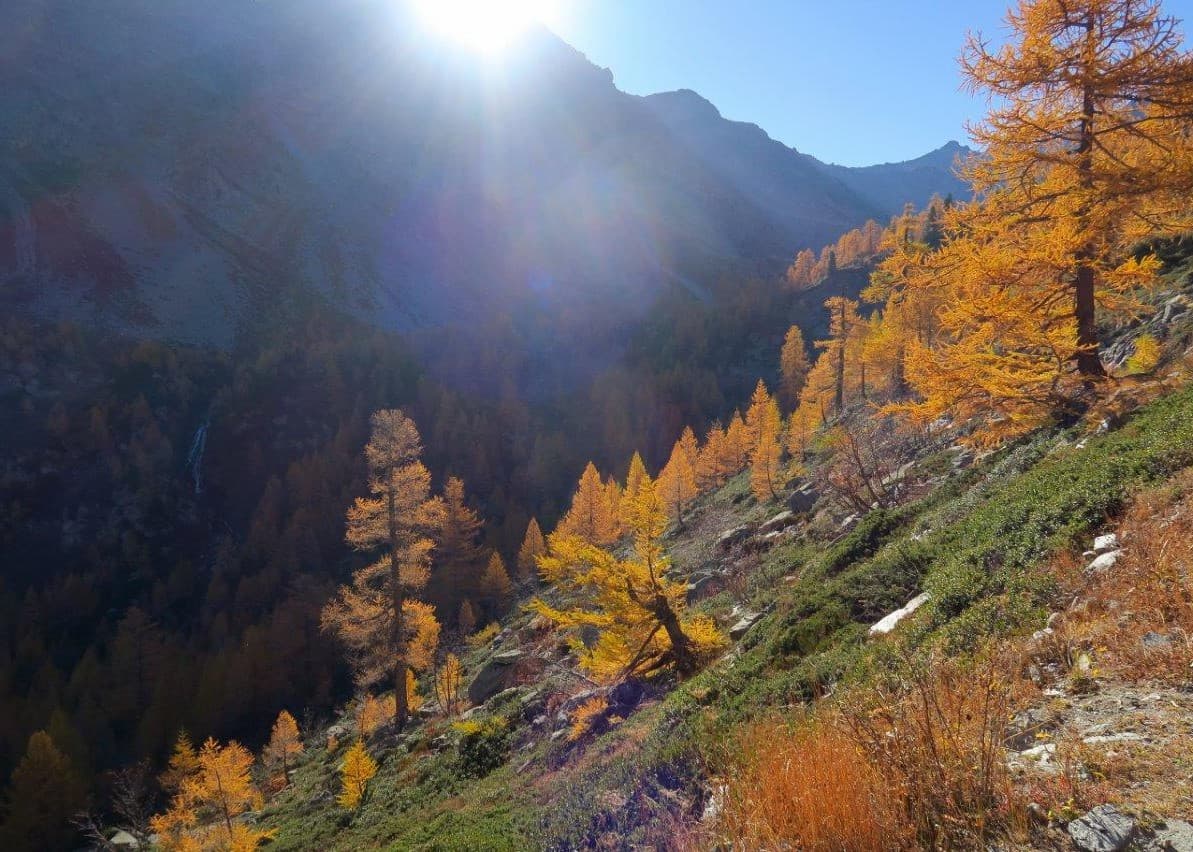Le vallon d'Arpy paré des couleurs chaudes de l'automne.