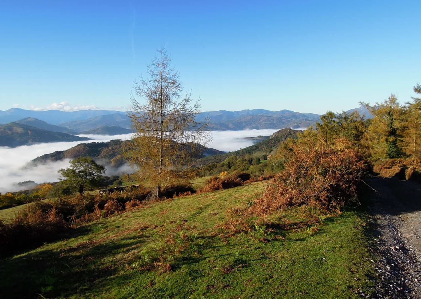 Randonnée sur les crêtes verdoyantes du Pays basque.